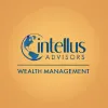 Intellus Advisors LLC