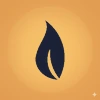 Fire Capital Management LLC