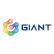 Giant Network Group Co., Ltd. logo