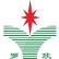 Luoxin Pharmaceuticals Group Co., Ltd. logo