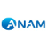 Anam Electronics Co., Ltd. logo