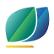 New Times Energy Corporation Limited logo