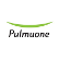 Pulmuone Co., Ltd. logo