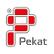 Pekat Group Berhad logo