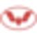 Wuling Motors Holdings Limited logo