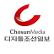 Digital Chosun Co., Ltd. logo