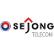 Sejong Telecom Inc. logo