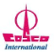 COSCO SHIPPING International  logo