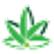Planetree International Development Limited logo