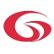 G-Vision International  logo
