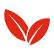 Ginjer Detox European Equity M logo