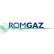 Societatea Nationala de Gaze Naturale Romgaz S.A. logo