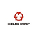 Daesung Energy Co., Ltd. logo