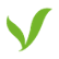 Pavonine Co. Ltd. logo