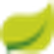 Kyongbo Pharmaceutical Co., Ltd. logo