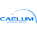 Caelum Co., Ltd. logo