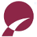 Shenzhen Sunway Communication Co., Ltd. logo