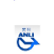 Anhui Anli Material Technology Co. Ltd. logo