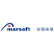 Shanghai Amarsoft Information Technology Co., Ltd. logo