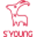 Syoung Group Co. Ltd. logo