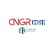 CNGR Advanced Material Co., Ltd. logo