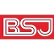 Shenzhen Boshijie Technology Co., Ltd. logo
