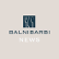 Balnibarbi Co., Ltd. logo