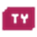 Ty Holdings Co. Ltd. logo