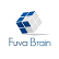 Fuva Brain Ltd. logo