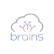 Brains Technology Inc. logo