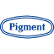 Nippon Pigment Holdings Co., Ltd. logo