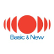 Nippon Paint Holdings Co., Ltd. logo