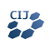 The Computer Institute of Japan Ltd. logo