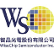 WiseChip Semiconductor Inc. logo