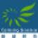 Kangxin New Materials Co., Ltd. logo