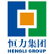Hengli Petrochemical Co., Ltd. logo