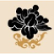 Black Peony Co., Ltd. logo