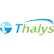 Thalys Medical Technology Inc. logo