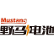 Zhejiang Mustang Battery Co., Ltd. logo
