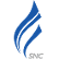 Shanghai New Centurion Net-A logo