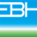 Enbio Holdings Inc. logo