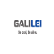 Fukushima Galilei Co., Ltd. logo
