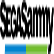 Sega Sammy Holdings Inc. logo