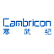 Cambricon Technologies Corporation Ltd. logo