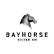 Bayhorse Silver Inc. logo