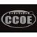 Shanxi Changcheng Microlight Co., Ltd. logo