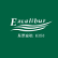 Well Link Securities Holdings Limited logo