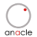 Anacle Systems Ltd. logo