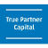 True Partner Capital Holding Limited logo