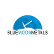 Blue Moon Metals Inc. logo